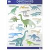 * Maps & Globes | Educational Poster- Dinosaurs