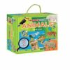 * Activity Books | Explore & Learn Book Kit Animals Explorer